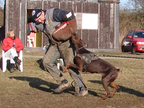 The christmas training 27.12.2006